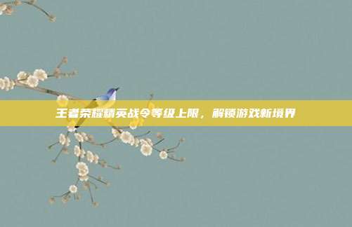 王者荣耀精英战令等级上限，解锁游戏新境界