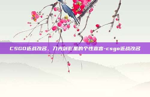 CSGO近战改名，刀光剑影里的个性宣言-csgo近战改名