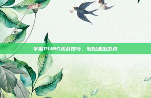 掌握PUBG观战技巧,轻松退出游戏