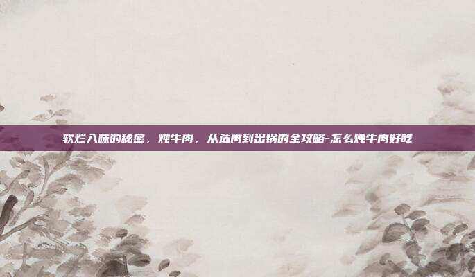 软烂入味的秘密,炖牛肉,从选肉到出锅的全攻略-怎么炖牛肉好吃