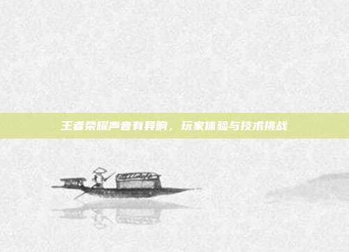 王者荣耀声音有异响，玩家体验与技术挑战