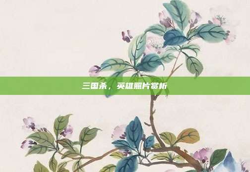 三国杀，英雄照片赏析