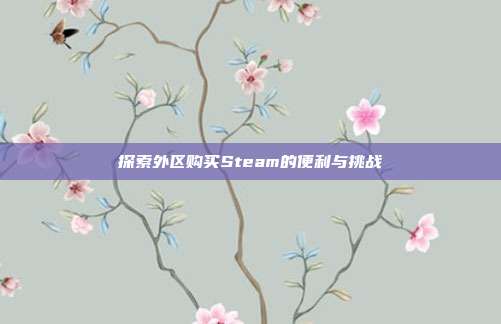 探索外区购买Steam的便利与挑战