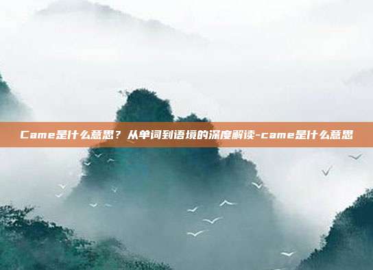 Came是什么意思？从单词到语境的深度解读-came是什么意思