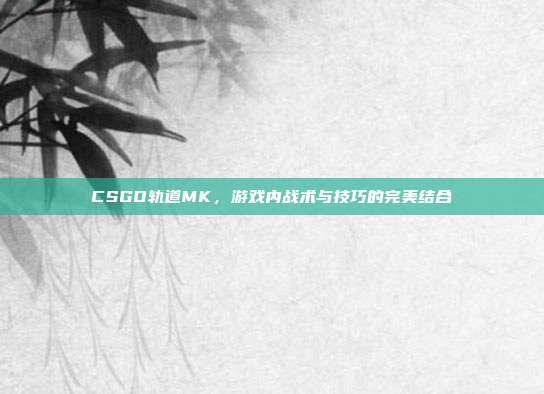 CSGO轨道MK，游戏内战术与技巧的完美结合