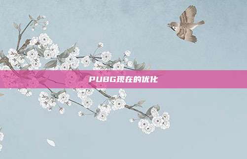 PUBG现在的优化