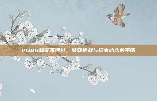 PUBG验证不通过,游戏挑战与玩家心态的平衡