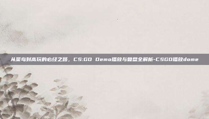 从菜鸟到高玩的必经之路,CS:GO Demo播放与复盘全解析-CSGO播放dome