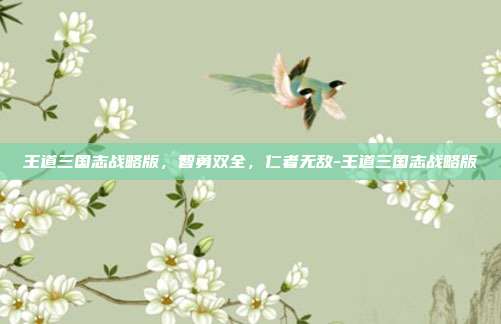 王道三国志战略版,智勇双全,仁者无敌-王道三国志战略版