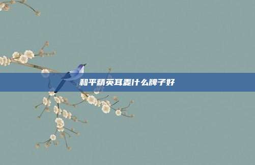 和平精英耳麦什么牌子好