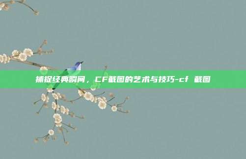 捕捉经典瞬间,CF截图的艺术与技巧-cf 截图
