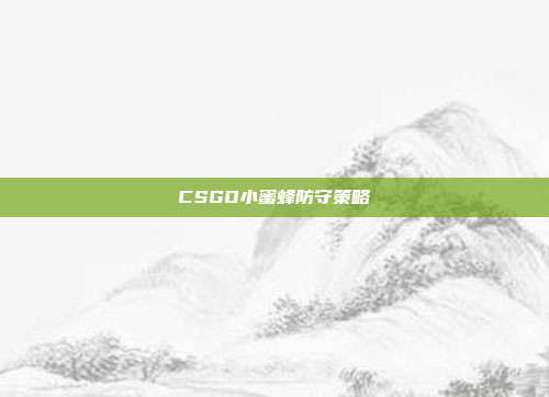 CSGO小蜜蜂防守策略