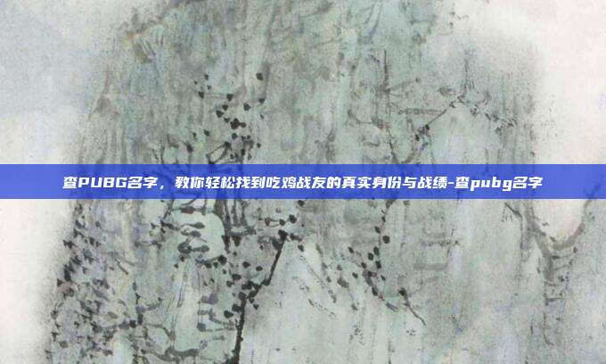 查PUBG名字，教你轻松找到吃鸡战友的真实身份与战绩-查pubg名字