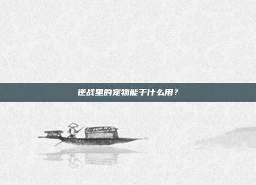 逆战里的宠物能干什么用?