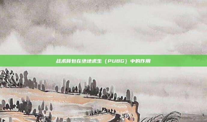 战术背包在绝地求生(PUBG)中的作用
