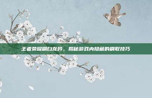 王者荣耀刷白龙吟，揭秘游戏内隐藏的刷取技巧