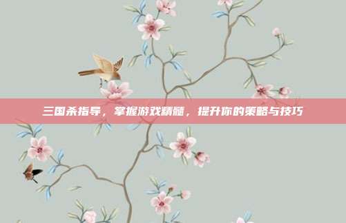 三国杀指导,掌握游戏精髓,提升你的策略与技巧