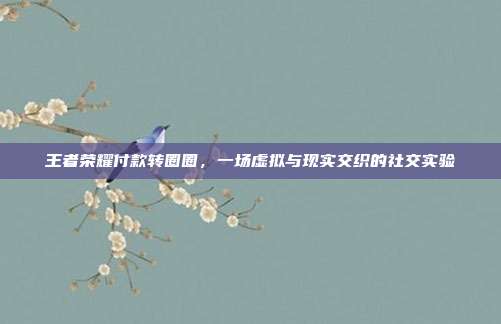 王者荣耀付款转圈圈,一场虚拟与现实交织的社交实验