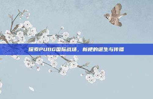 探索PUBG国际战场,新梗的诞生与传播