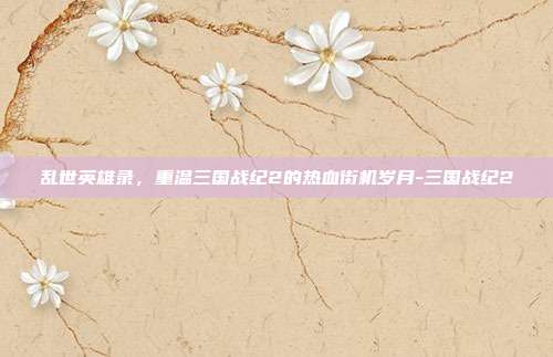 乱世英雄录，重温三国战纪2的热血街机岁月-三国战纪2