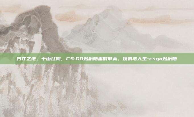 方寸之地，千面江湖，CS:GO贴纸槽里的审美、投机与人生-csgo贴纸槽