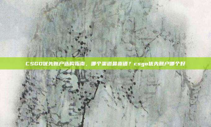 CSGO优先账户选购指南,哪个渠道最靠谱?csgo优先账户哪个好