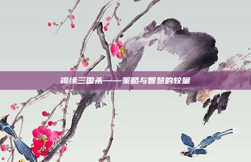 竭缘三国杀——策略与智慧的较量