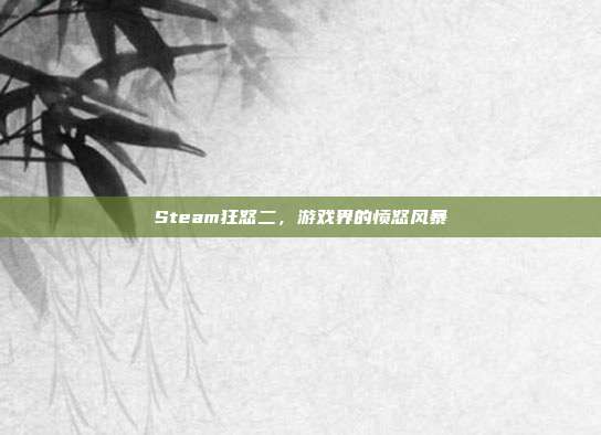 Steam狂怒二,游戏界的愤怒风暴