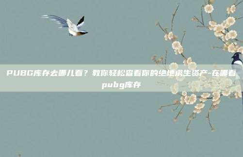 PUBG库存去哪儿看？教你轻松查看你的绝地求生资产-在哪看pubg库存