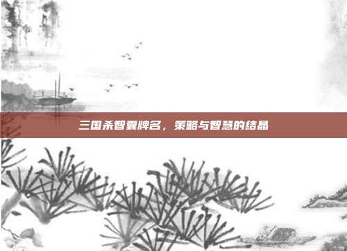 三国杀智囊牌名,策略与智慧的结晶