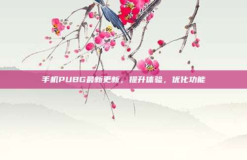手机PUBG最新更新,提升体验,优化功能