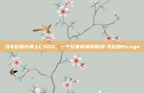 当毛毯图片遇上CSGO,一个玩家的神奇脑洞-毛毯图片csgo