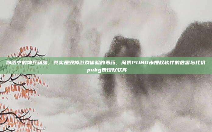 你眼中的神兵利器，其实是毁掉游戏体验的毒药，深扒PUBG未授权软件的危害与代价-pubg未授权软件