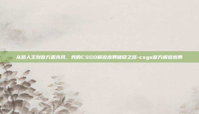 从路人王到官方麦克风,我的CSGO解说应聘破晓之路-csgo官方解说应聘