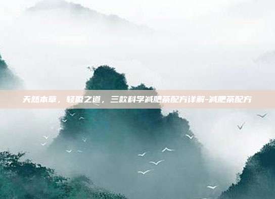 天然本草,轻盈之道,三款科学减肥茶配方详解-减肥茶配方