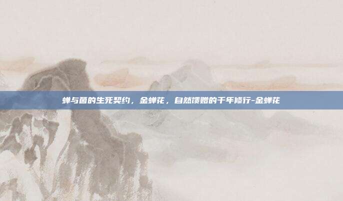 蝉与菌的生死契约，金蝉花，自然馈赠的千年修行-金蝉花