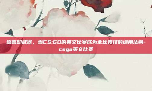 语言即武器，当CS:GO的英文比赛成为全球竞技的通用法则-csgo英文比赛