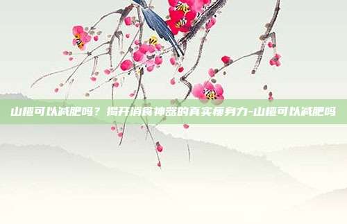 山楂可以减肥吗？揭开消食神器的真实瘦身力-山楂可以减肥吗
