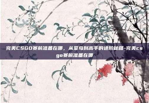 完美CSGO赛前准备在哪，从菜鸟到高手的进阶秘籍-完美csgo赛前准备在哪