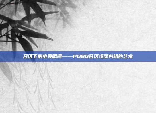 日落下的绝美瞬间——PUBG日落视频剪辑的艺术