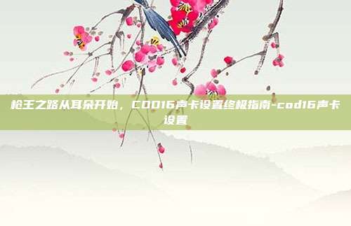 枪王之路从耳朵开始，COD16声卡设置终极指南-cod16声卡设置