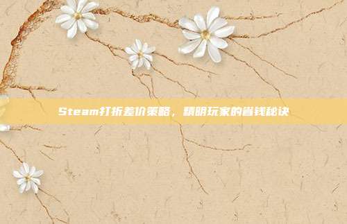 Steam打折差价策略,精明玩家的省钱秘诀