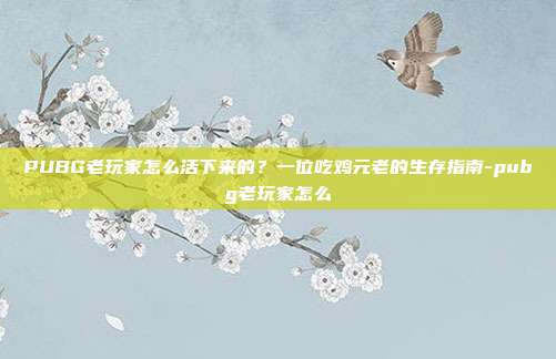 PUBG老玩家怎么活下来的?一位吃鸡元老的生存指南-pubg老玩家怎么