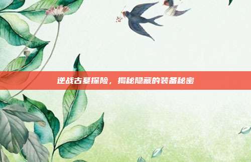 逆战古墓探险，揭秘隐藏的装备秘密