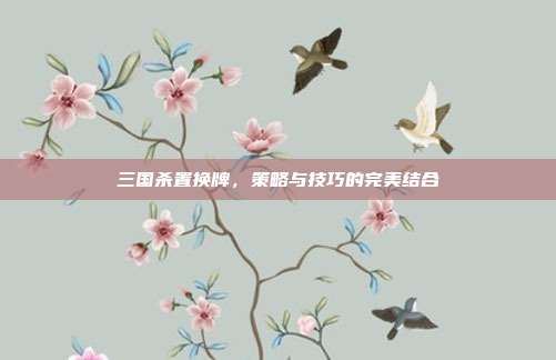 三国杀置换牌，策略与技巧的完美结合