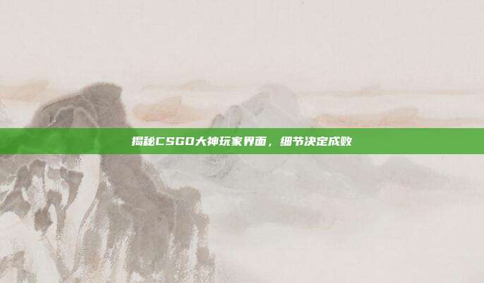 揭秘CSGO大神玩家界面，细节决定成败