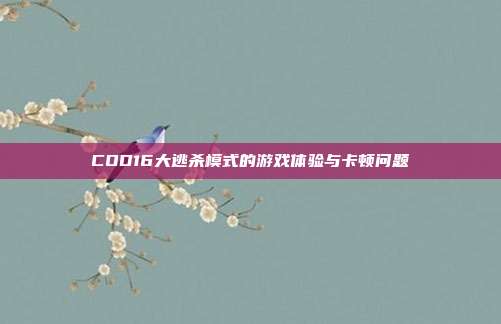 COD16大逃杀模式的游戏体验与卡顿问题