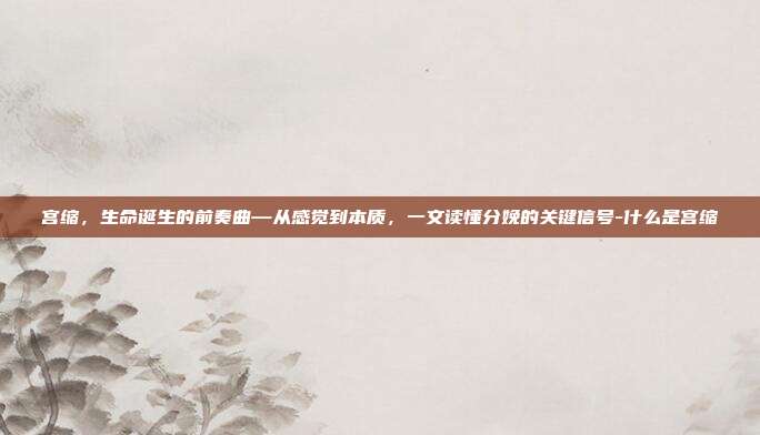 宫缩,生命诞生的前奏曲—从感觉到本质,一文读懂分娩的关键信号-什么是宫缩