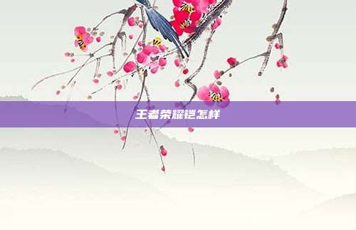 王者荣耀铠怎样