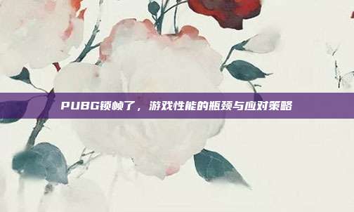PUBG锁帧了，游戏性能的瓶颈与应对策略